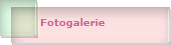 Fotogalerie