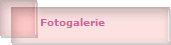 Fotogalerie