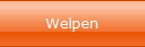 Welpen