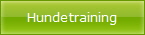 Hundetraining