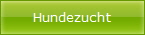 Hundezucht
